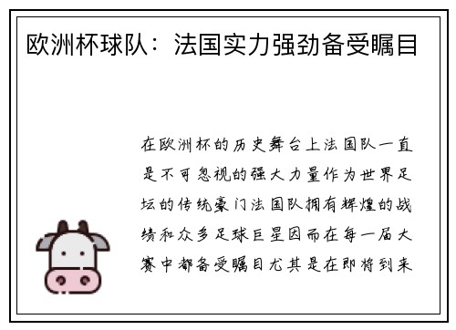 欧洲杯球队：法国实力强劲备受瞩目